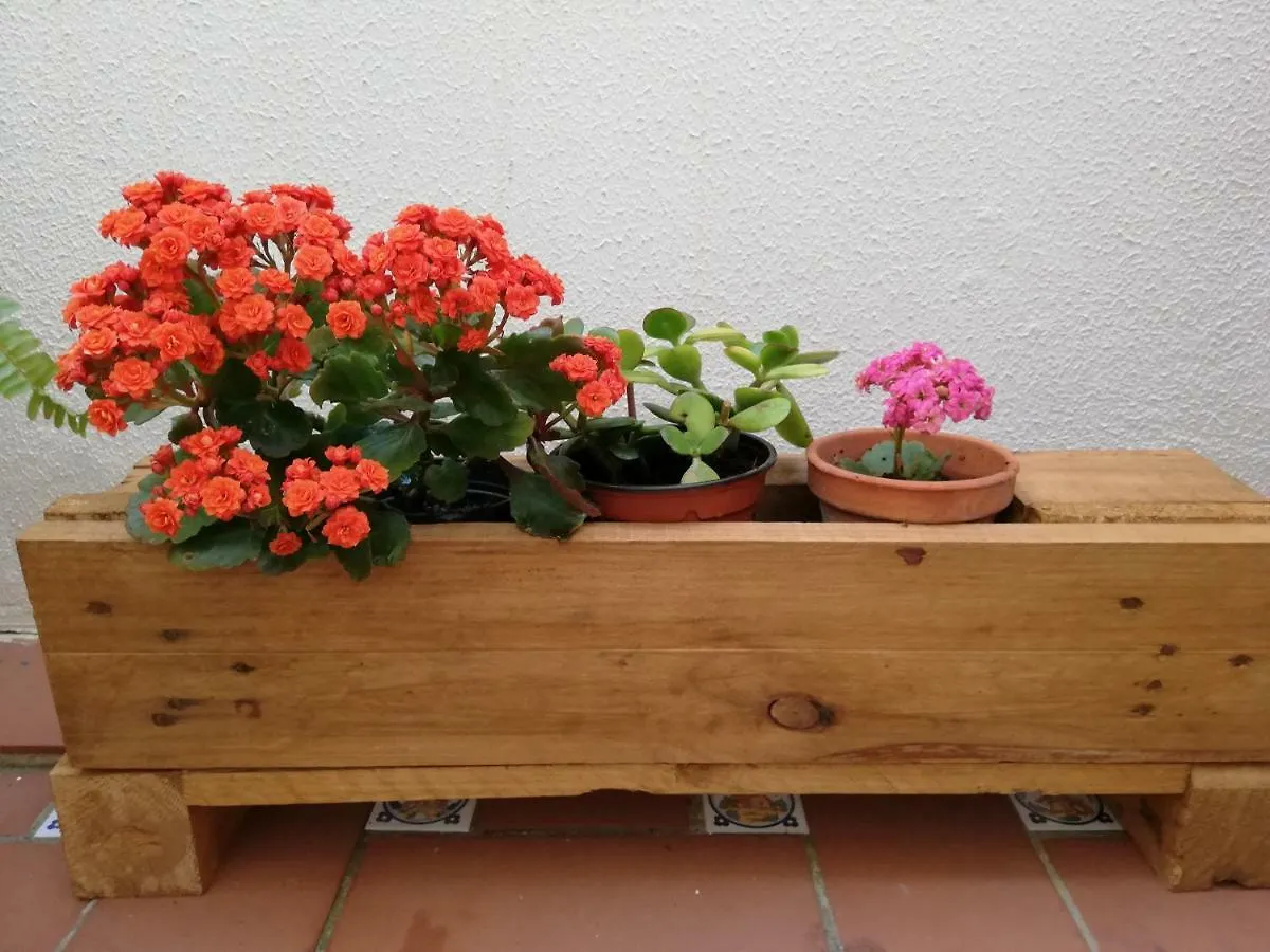 Dúplex en la Bahía de Cádiz con zona chill-out y WiFi San Fernando Apartamento